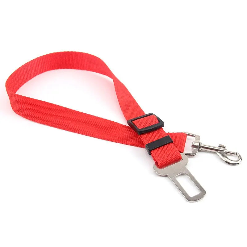 Car Seat Belt Lead with Clip