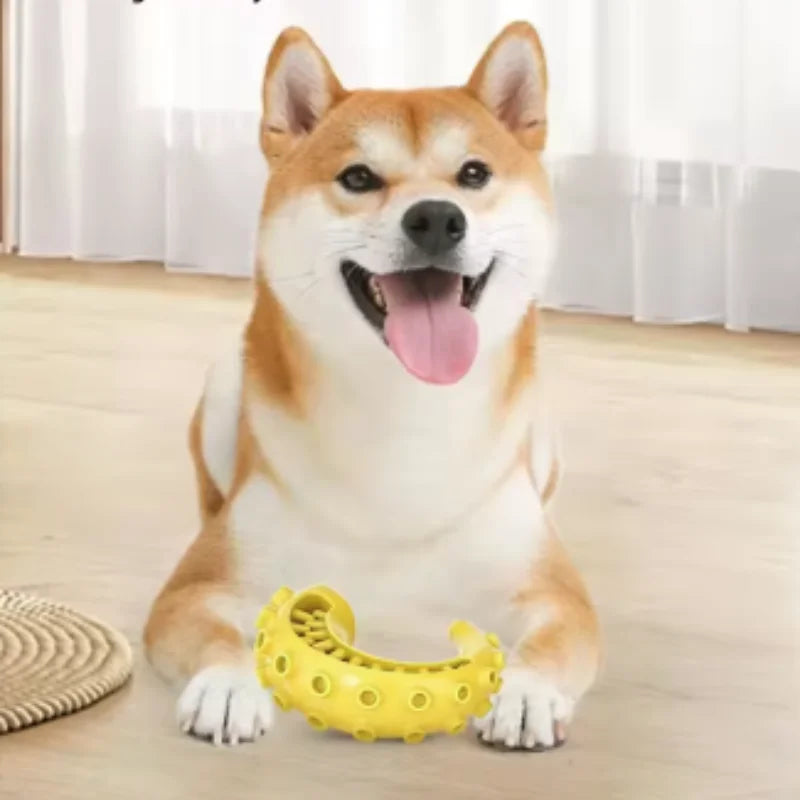 Treat-Dispensing Chew Stick