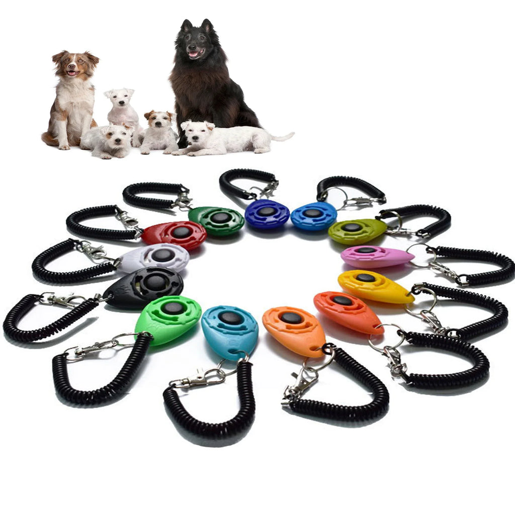 Keyring Training Clicker