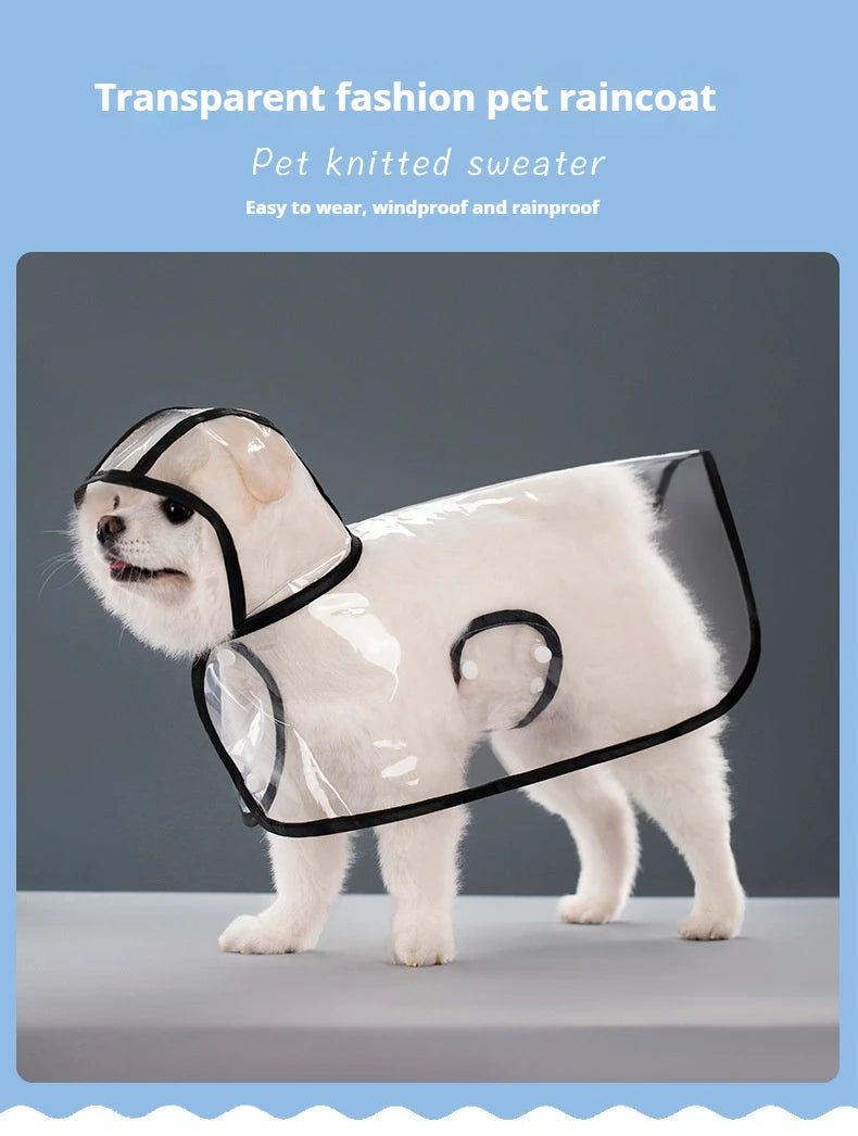 Clear Hooded Raincoat