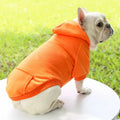 Hooded Sweatshirt for Cats