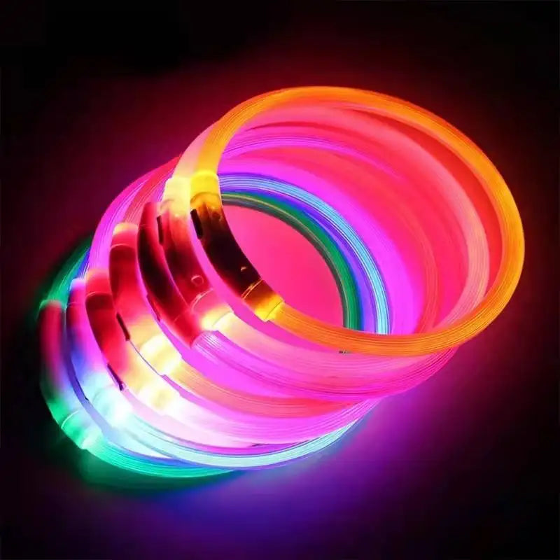 USB Rechargeable LED Collar