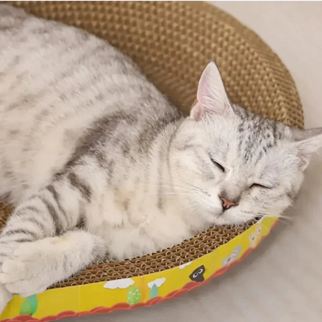 Oval Cardboard Scratcher Lounger