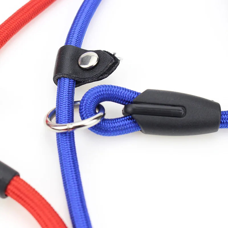 Everyday Nylon Lead (130cm)