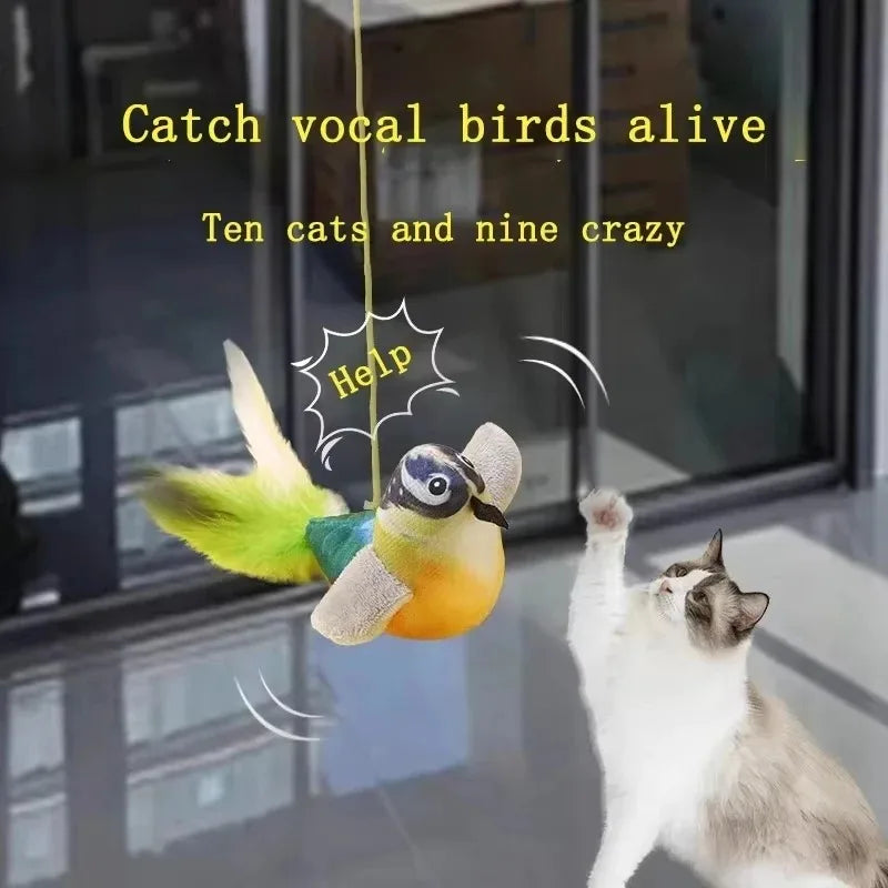 Chirping Bird Elastic Teaser