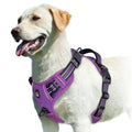Soft Padded Harness with Handle
