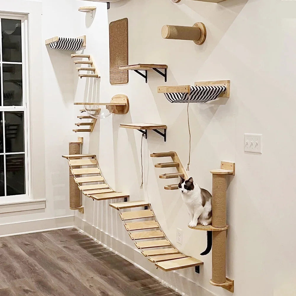 Modular Cat Wall Furniture