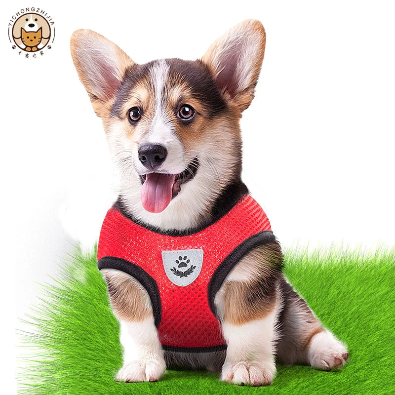 Summer Mesh Harness & Lead