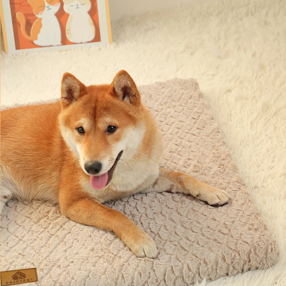 Memory Sponge Crate Bed