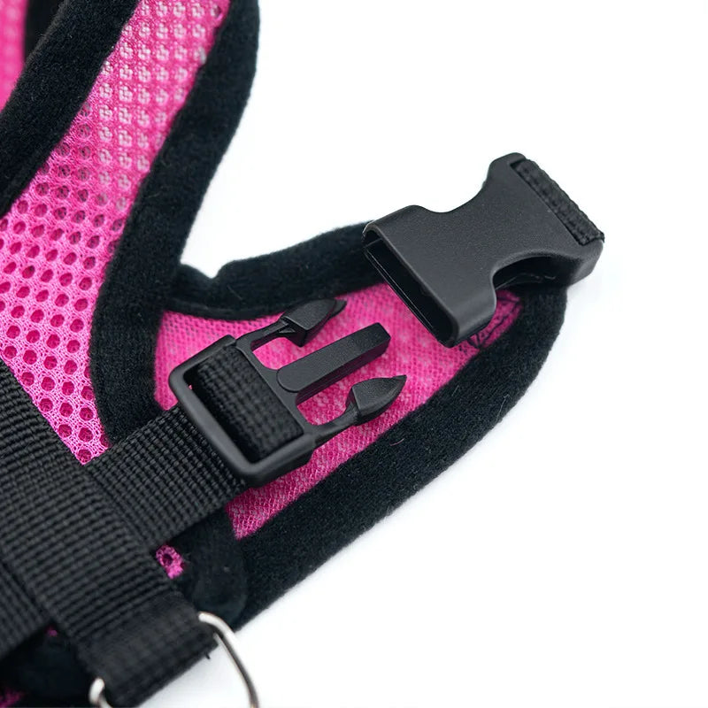 Summer Mesh Harness & Lead