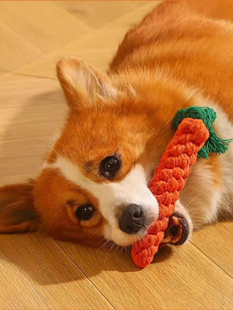 Hand-Woven Rope Knot Toy