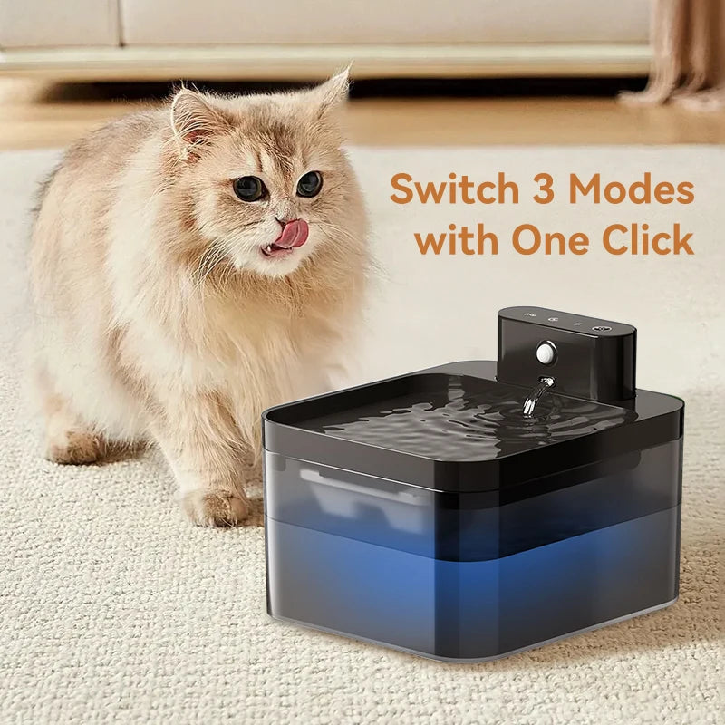 Cordless Sensor Water Fountain