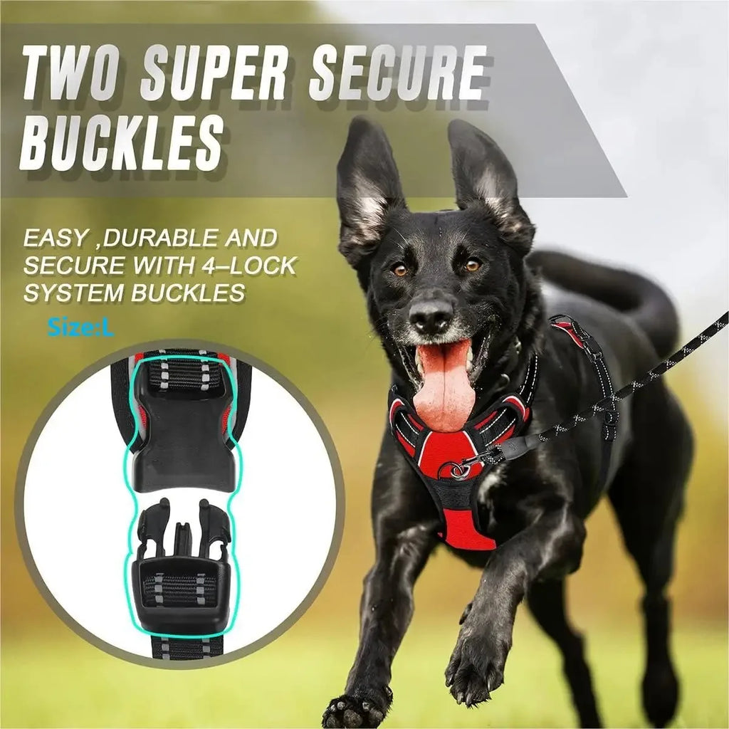Leather-Look Collar, Harness & Lead Set