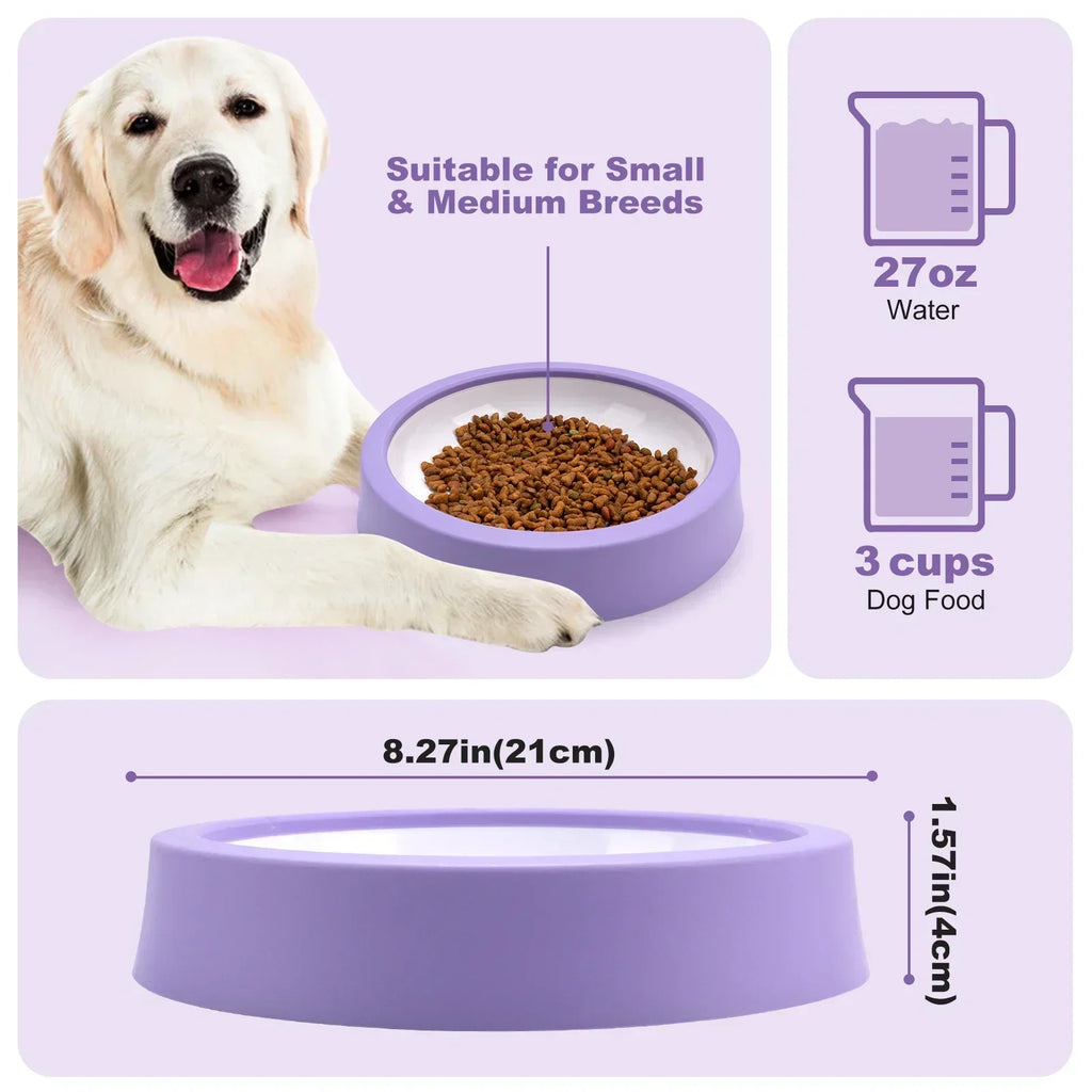 Anti-Gulp Slow Feeder Bowl