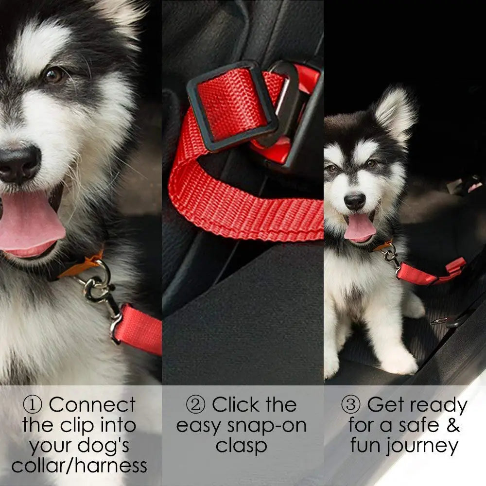 Car Seat Belt Lead with Clip