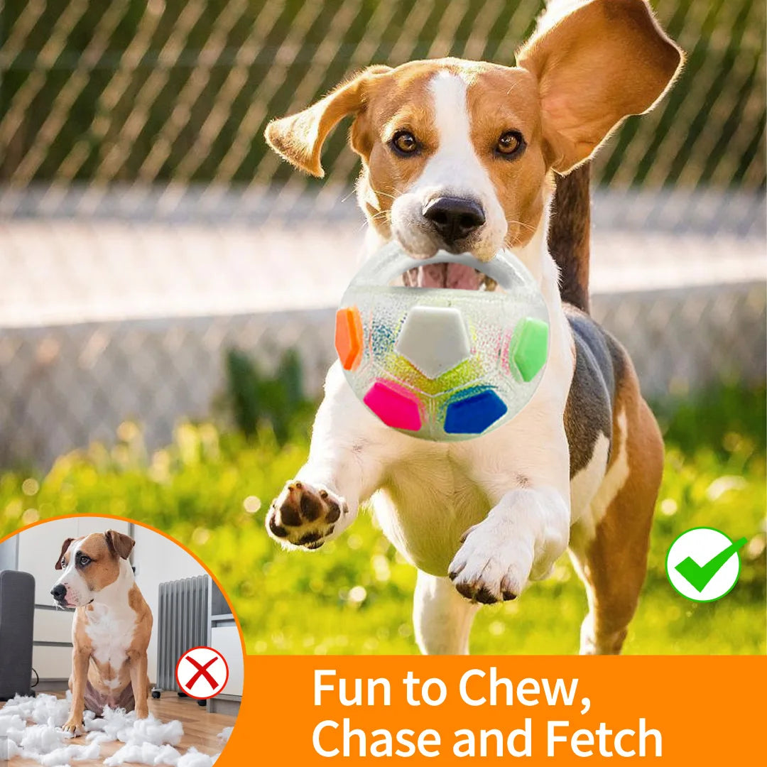 Football Squeaky Fetch Ball