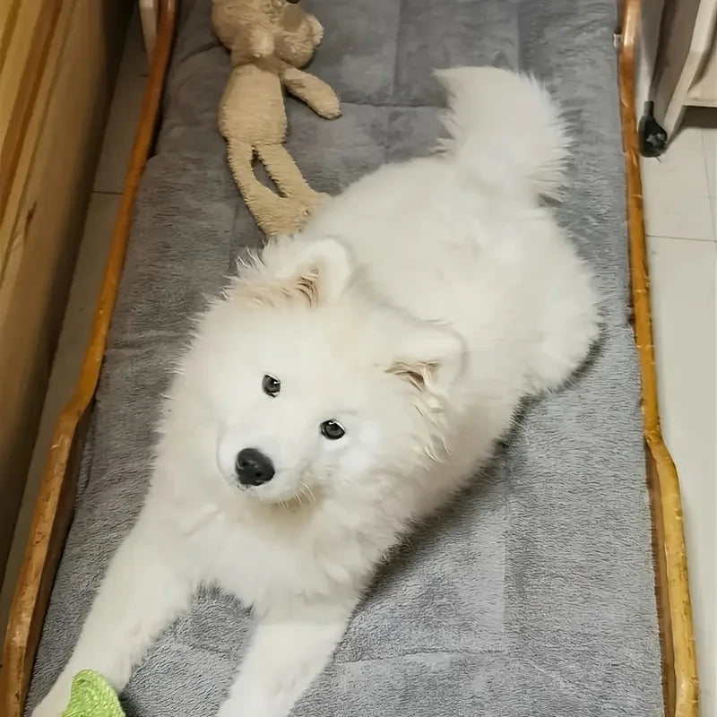 Oversized Plush Sofa Bed