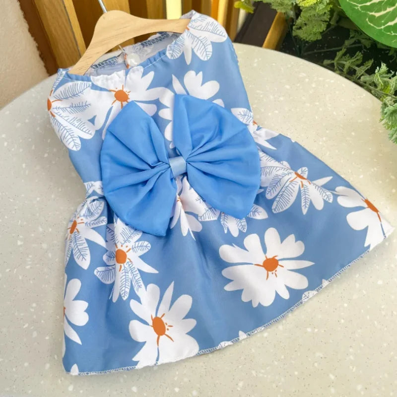 Bow & Lace Summer Dress