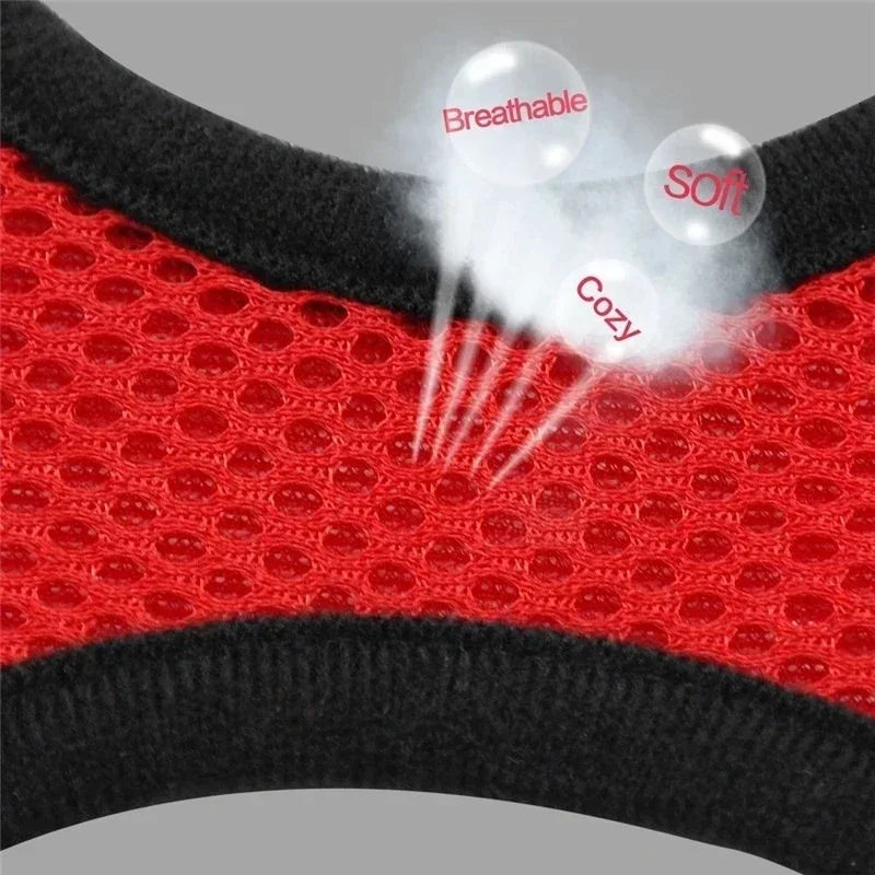 Mesh Harness Vest & Lead