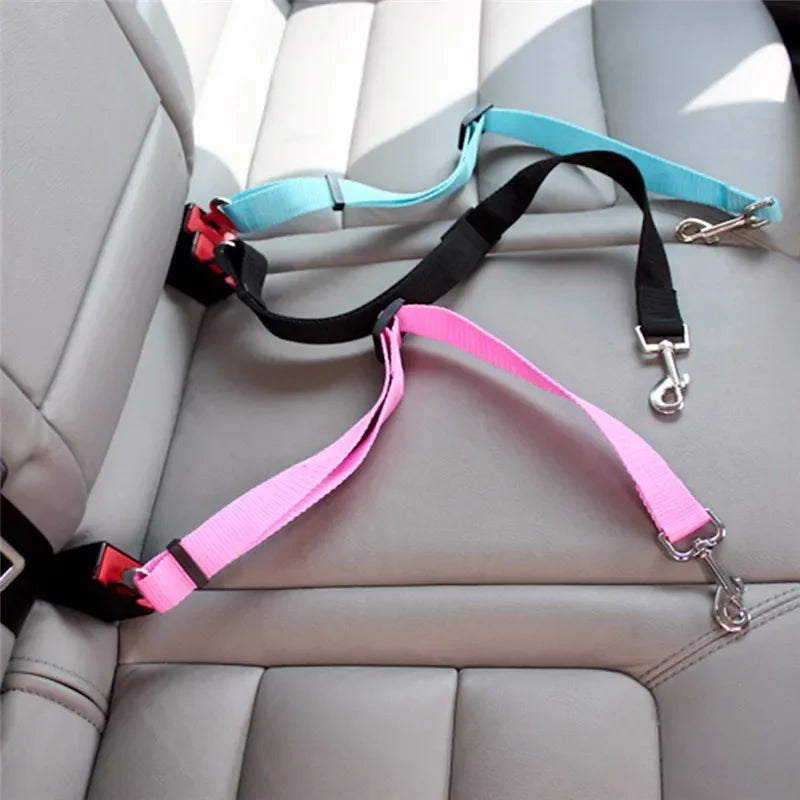 Car Seat Belt Lead with Clip