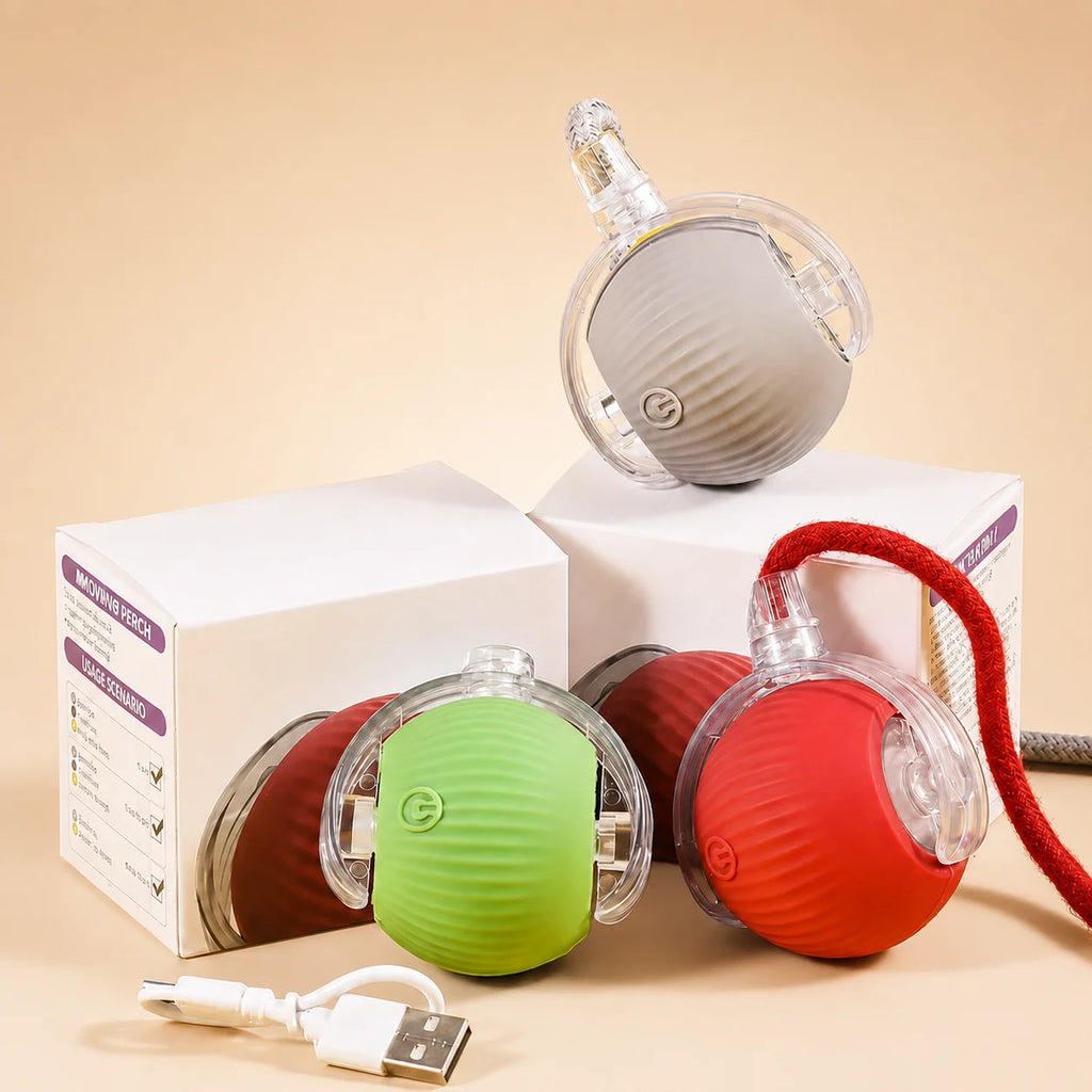 Self-Rolling Smart Ball (USB)