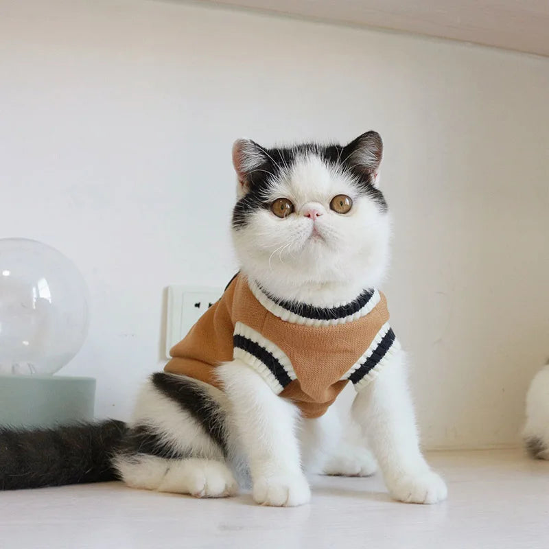 Cosy Knit Pullover