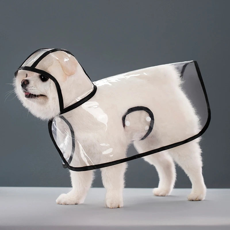 Clear Hooded Raincoat
