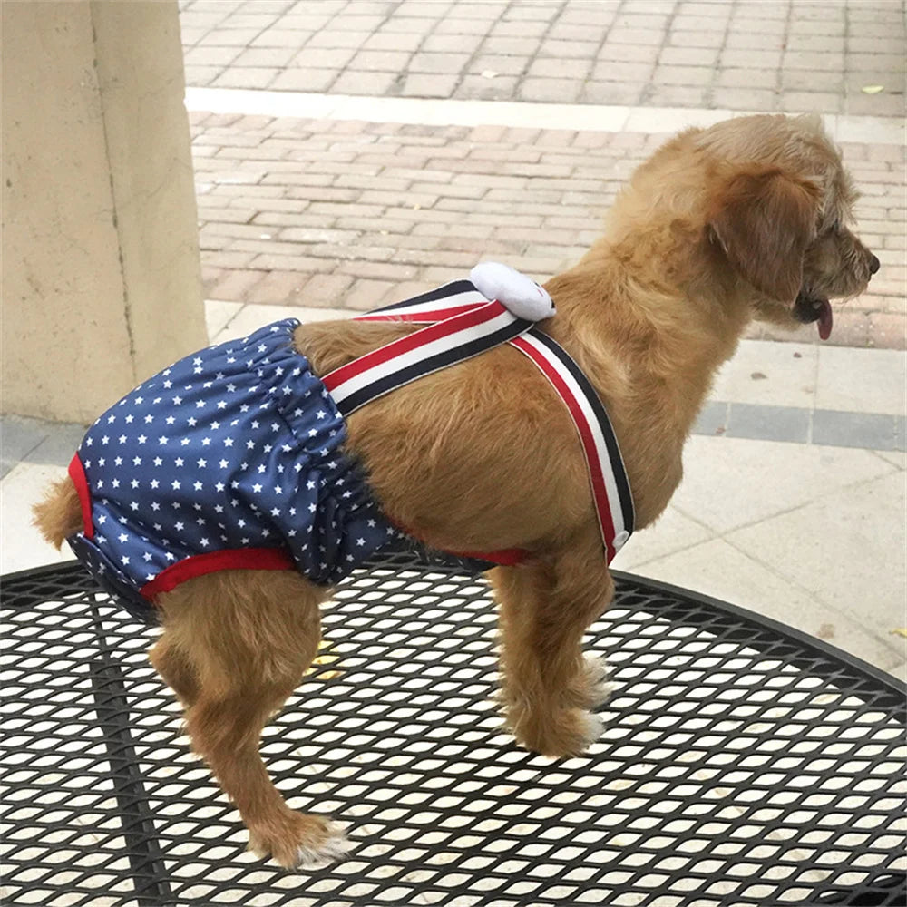 Washable Season Pants for Female Dogs