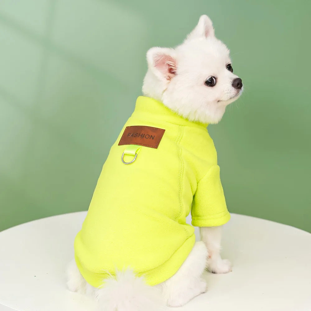 Classic Solid Hoodie