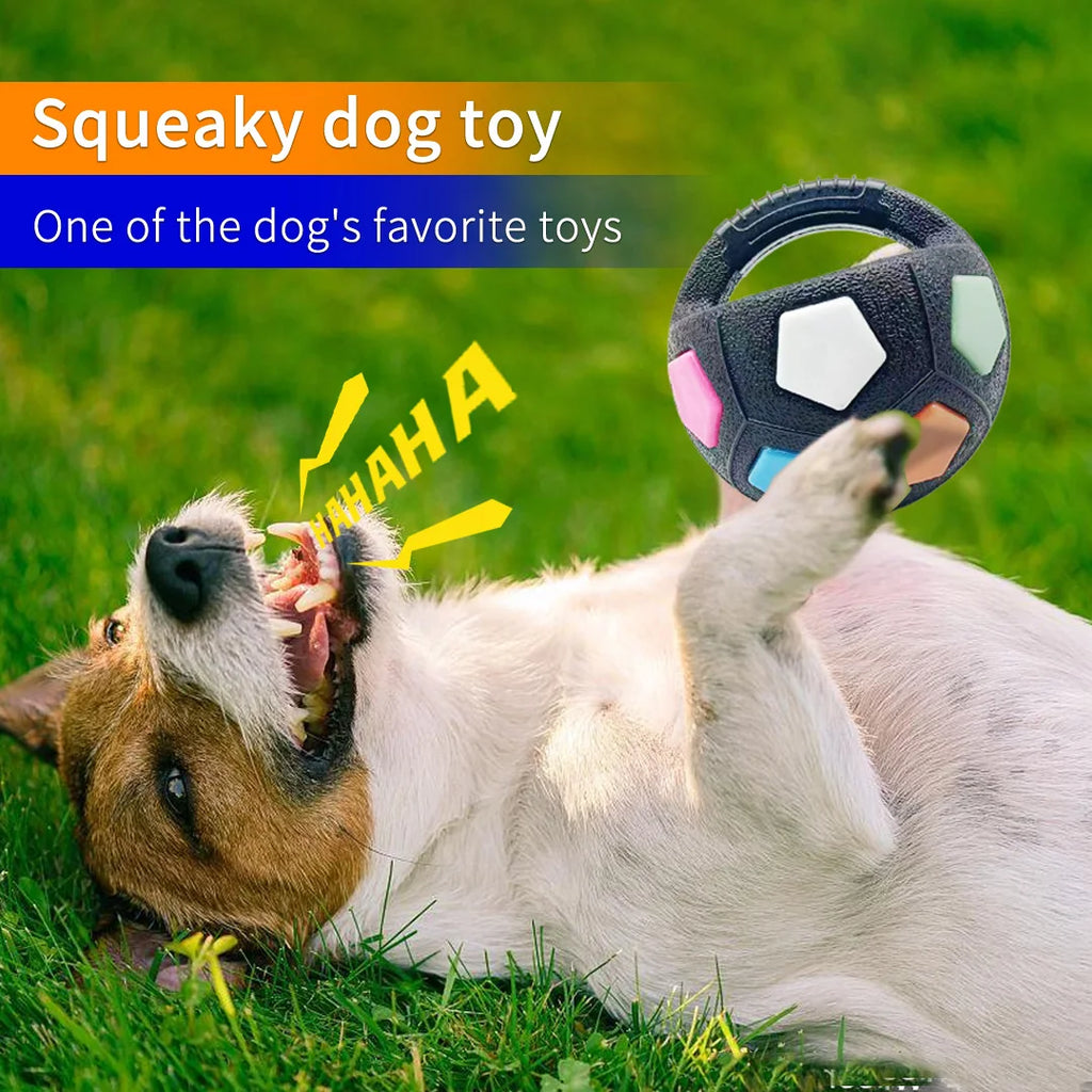Football Squeaky Fetch Ball