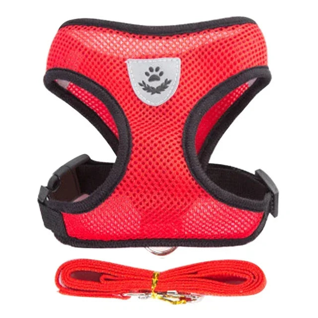 Mesh Harness Vest & Lead