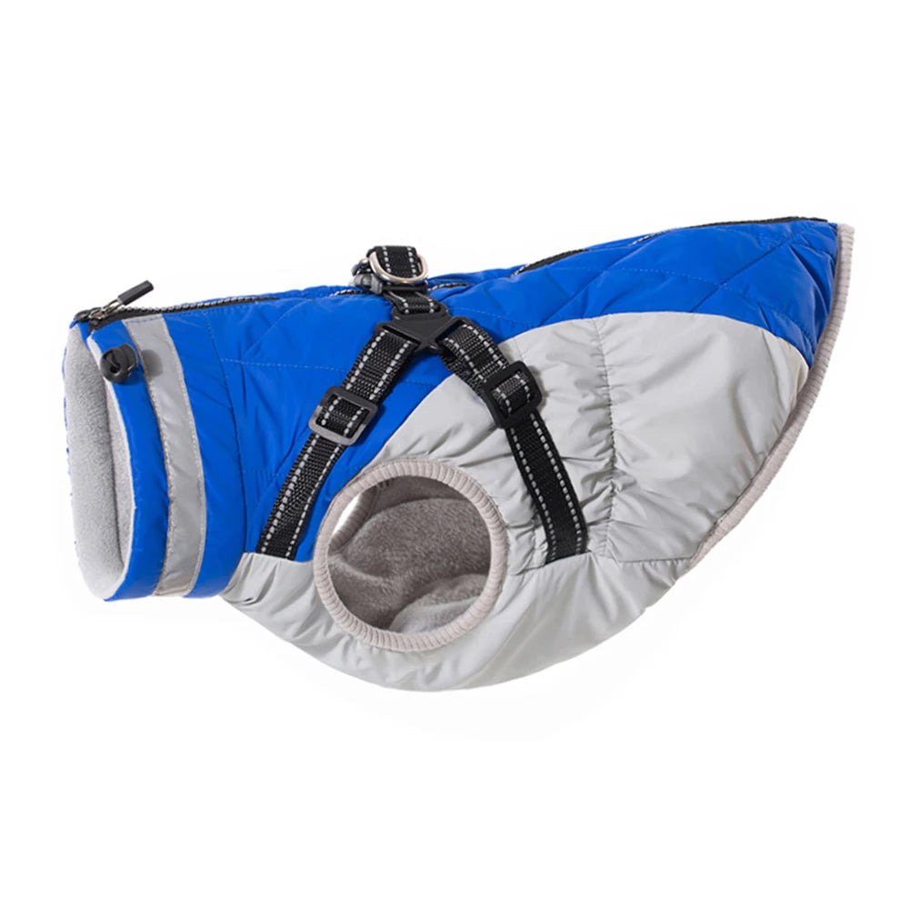 Winter Jacket with Built-In Harness