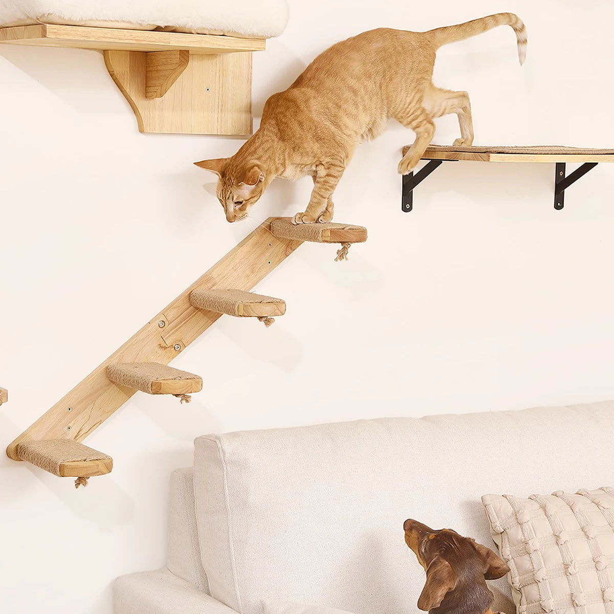 Wall-Mounted Cat Perch & Hammock