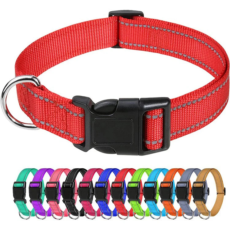 Decorative Small Dog Collar