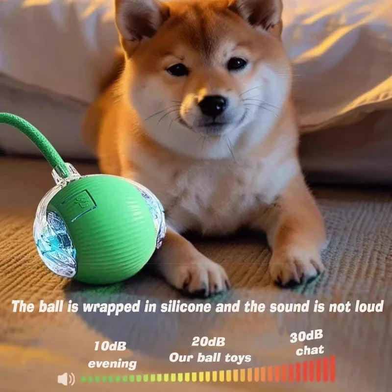Self-Rolling Smart Ball (USB)