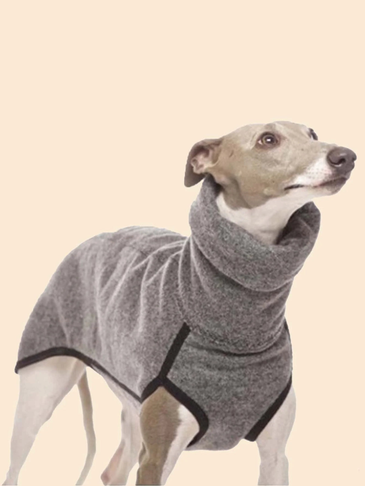 Greyhound Stretch Onesie