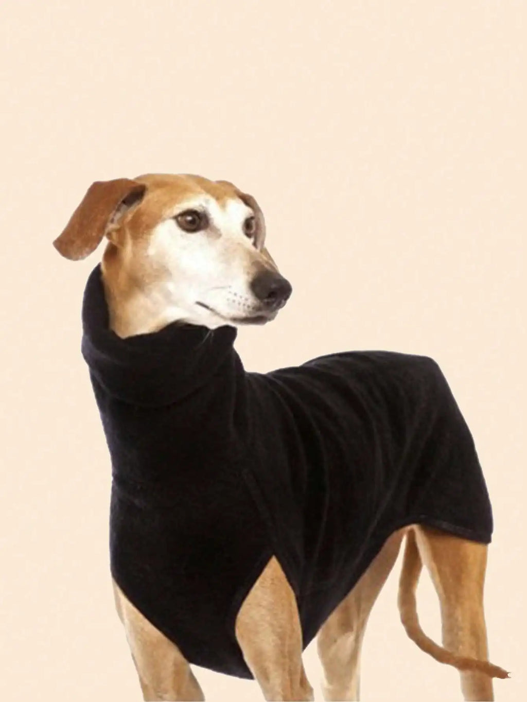 Greyhound Stretch Onesie