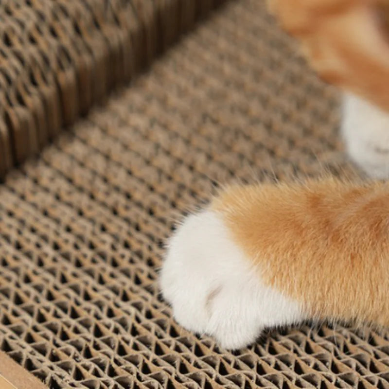 2-in-1 Vertical & Flat Scratcher