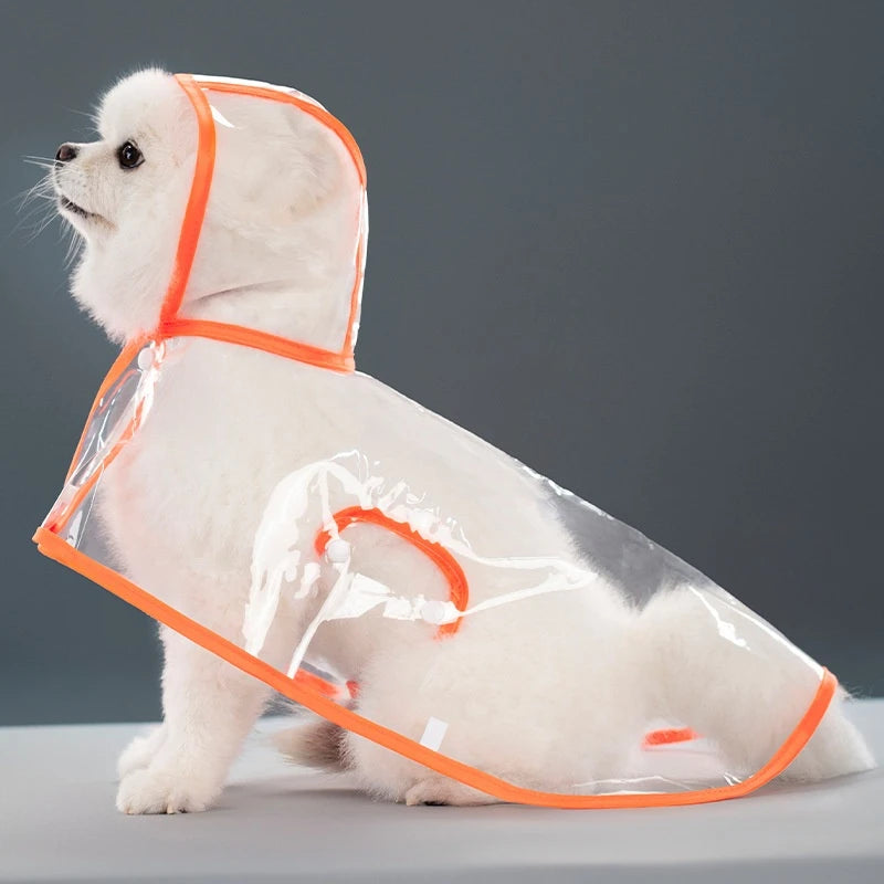 Clear Hooded Raincoat