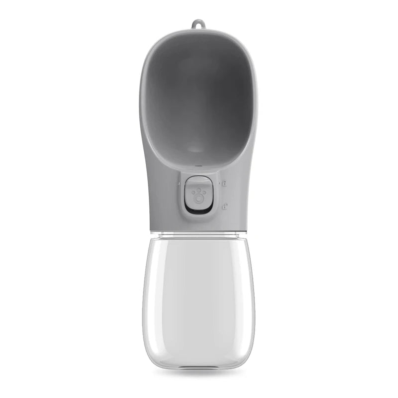 Leak-Proof Travel Water Bottle
