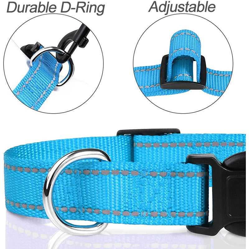 Decorative Small Dog Collar