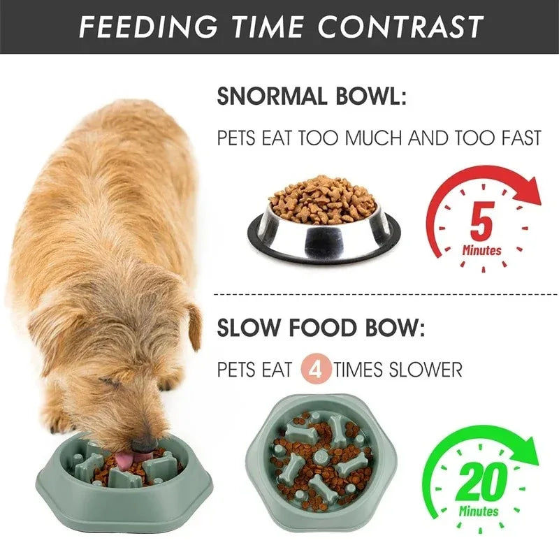 Maze Slow Feeder for Small Dogs