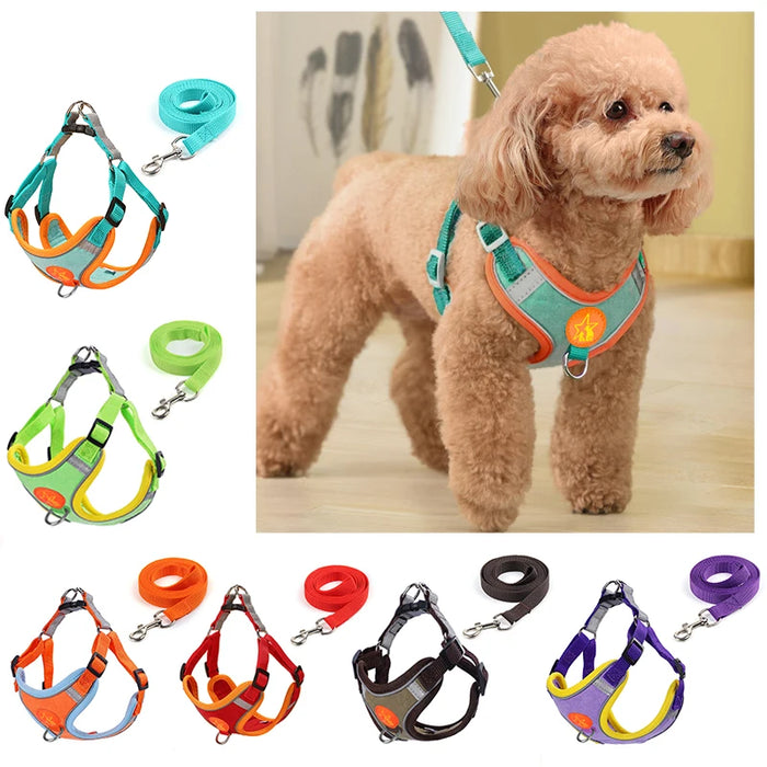 Soft Mesh Harness & Lead Set