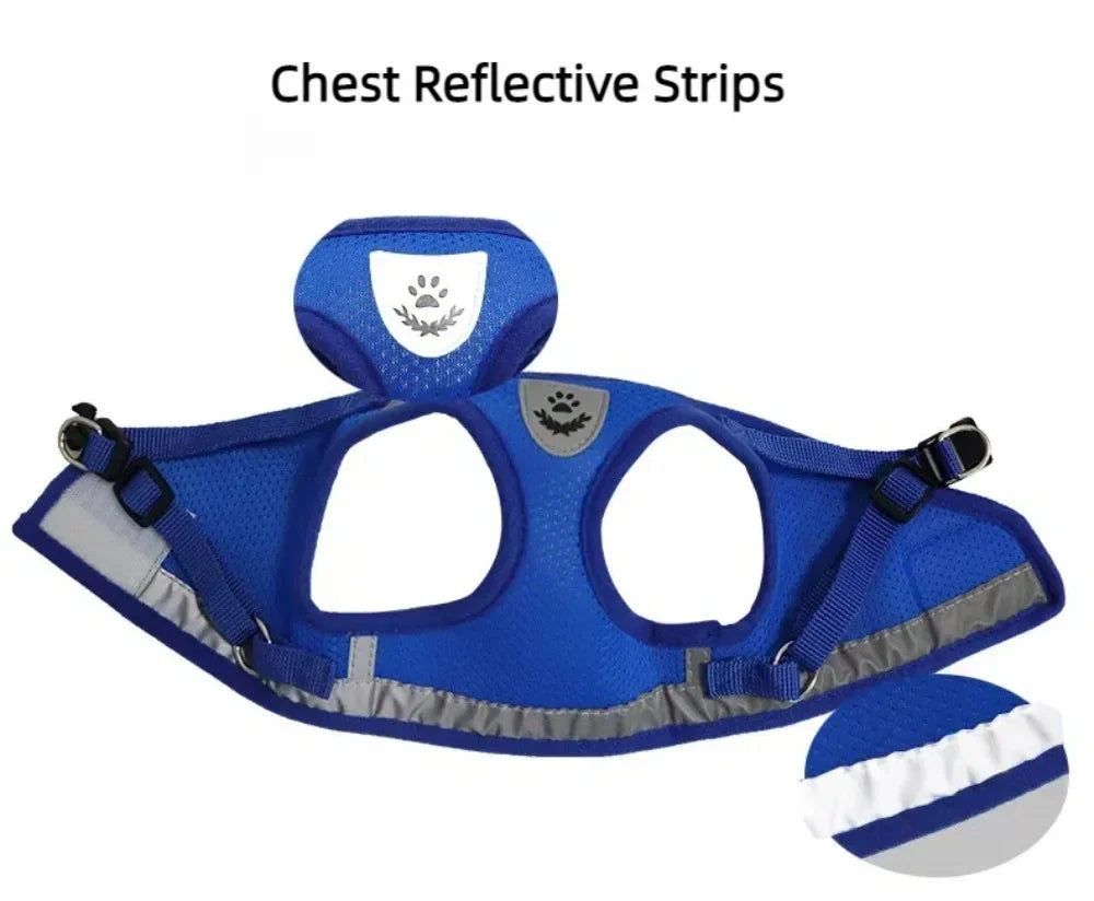 Cat Mesh Harness & Lead Set