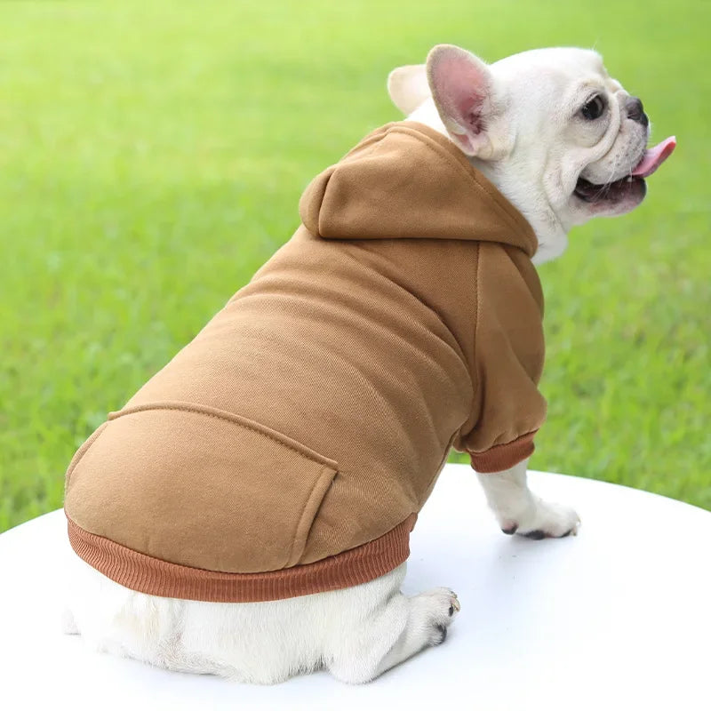 Hooded Sweatshirt for Cats