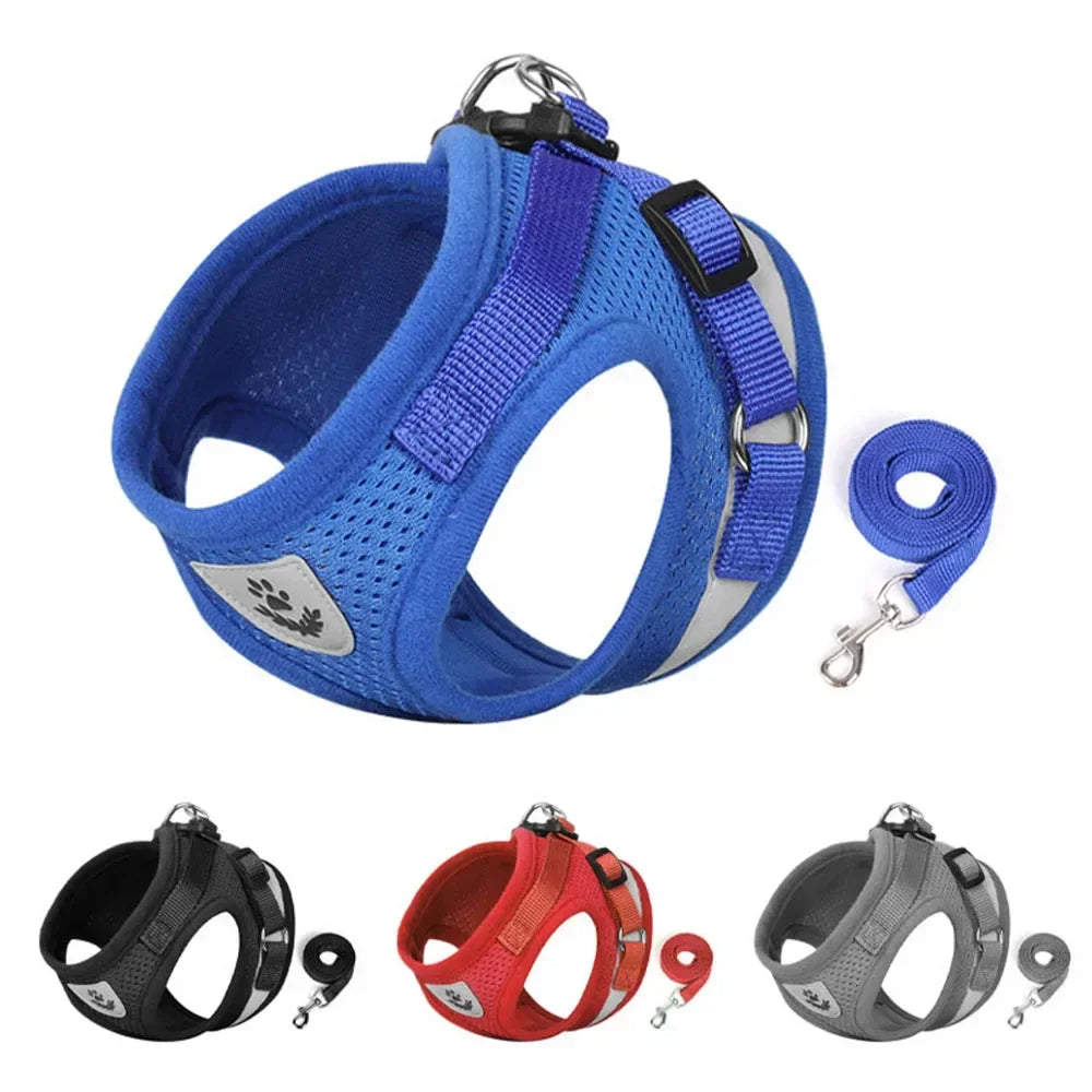 Cat Mesh Harness & Lead Set