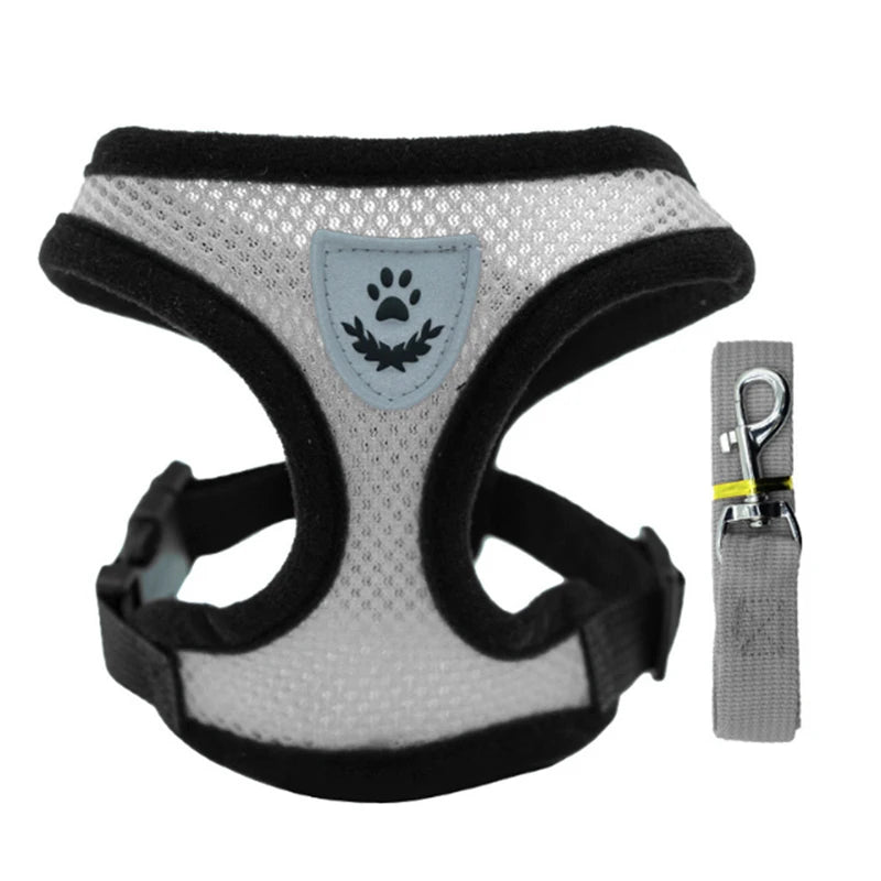 Summer Mesh Harness & Lead