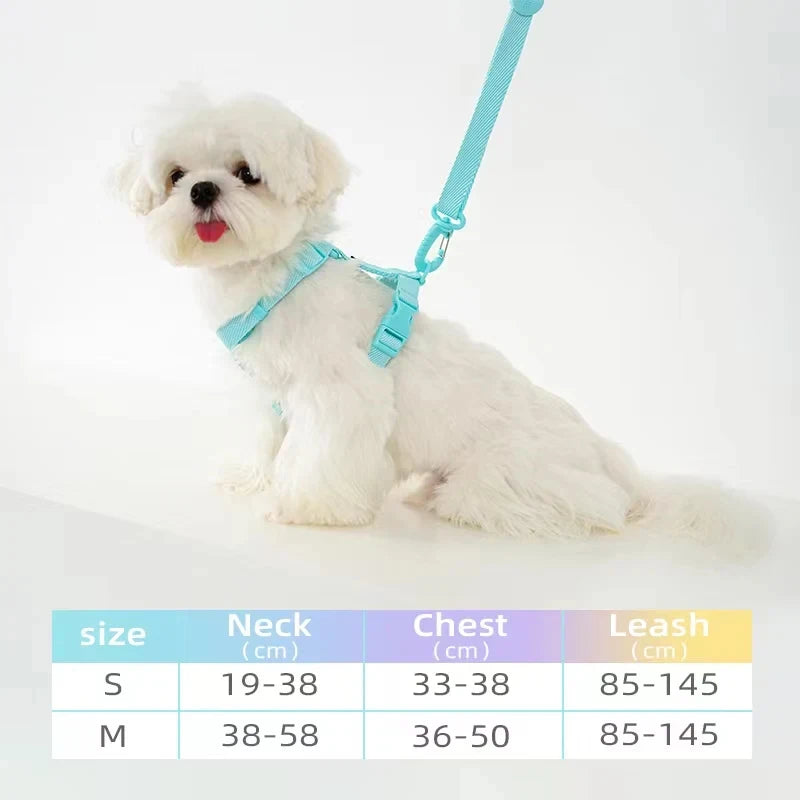 Pastel Harness, Collar & Lead Set
