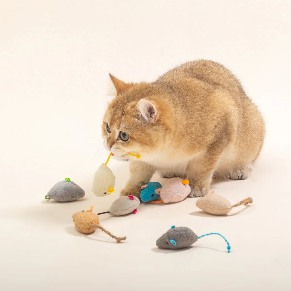 Rattle Mice with Catnip