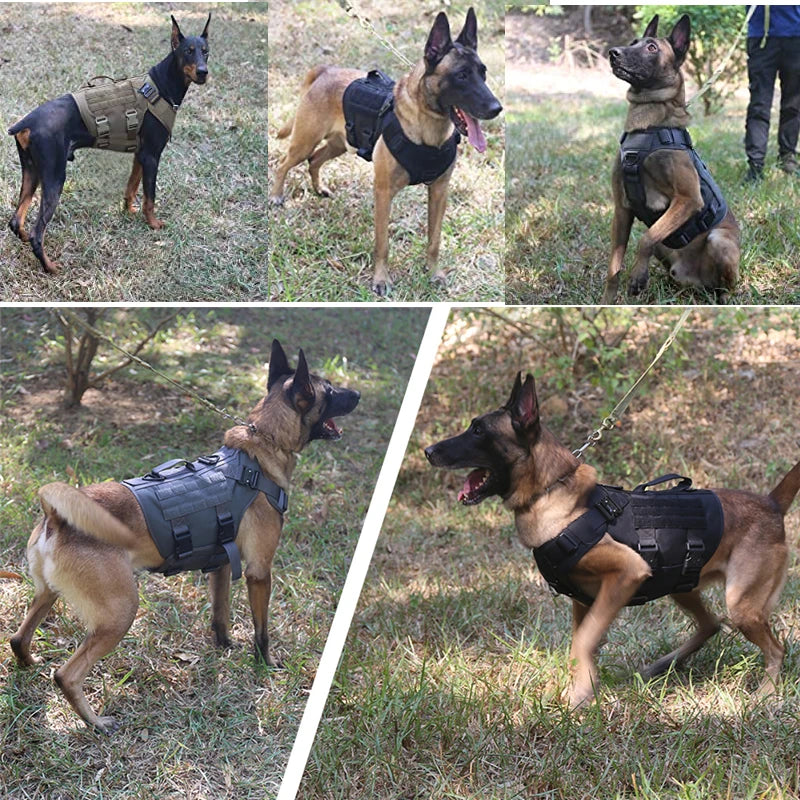 Tactical MOLLE Harness Set